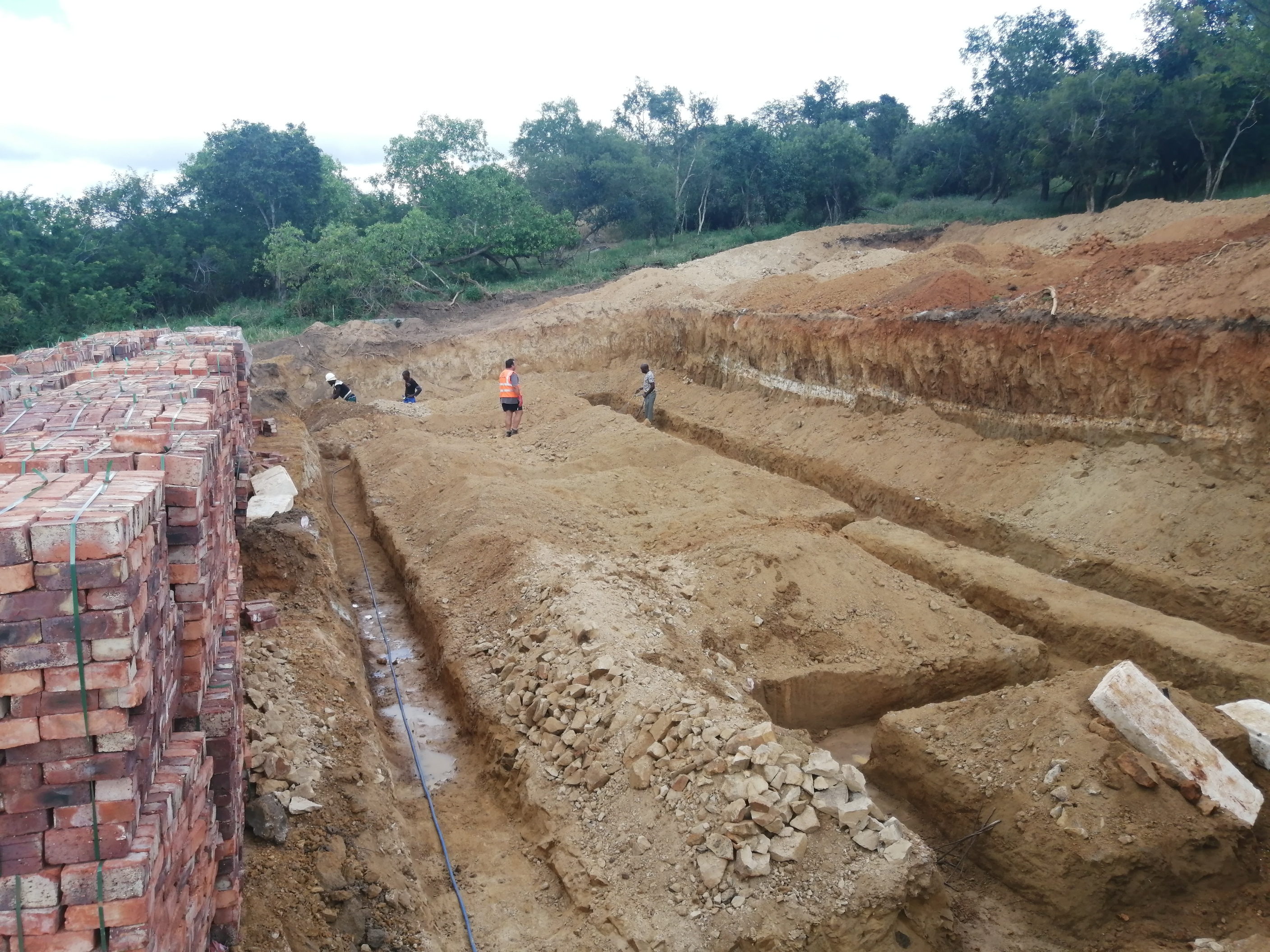 IMG_20220312_085451_resized_20220319_120349179 (1)